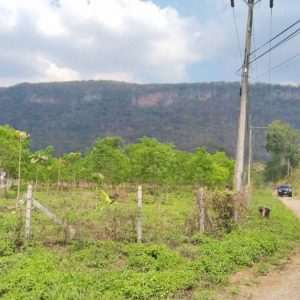 出售地皮-泰国-呵叻-2500-平方米-205.72-01