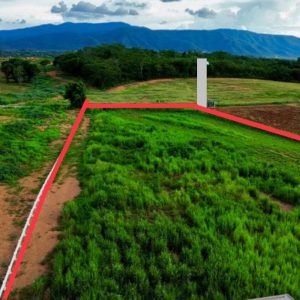 出售地皮-泰国-呵叻-25600-平方米-124.29-01