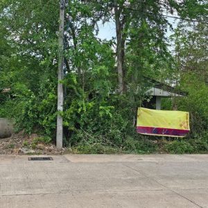 出售地皮-泰国-呵叻-2688-平方米-57.4-01