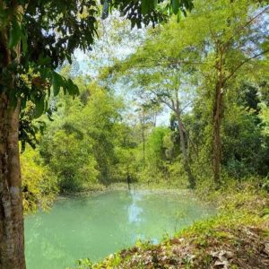 出售地皮-泰国-呵叻-27200-平方米-113.46-01