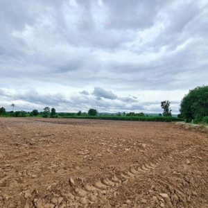 出售地皮-泰国-呵叻-27200-平方米-5.69-01