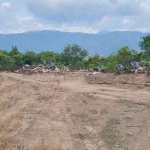 出售地皮-泰国-呵叻-28800-平方米-57.86-01