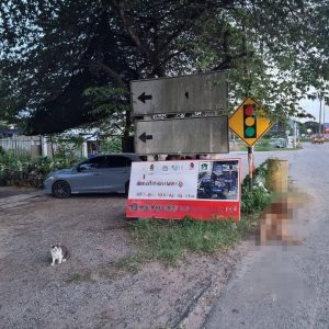 出售地皮-泰国-呵叻-292-平方米-2348.35-01