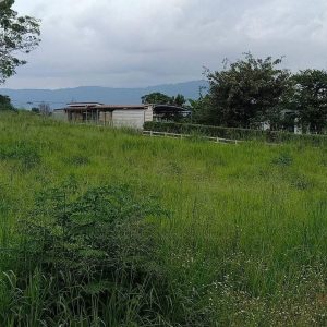 出售地皮-泰国-呵叻-2940-平方米-102.86-01