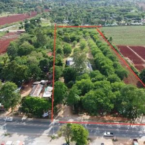 出售地皮-泰国-呵叻-29660-平方米-534.66-01