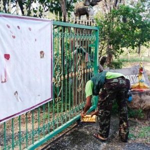 出售地皮-泰国-呵叻-30412-平方米-11.29-01