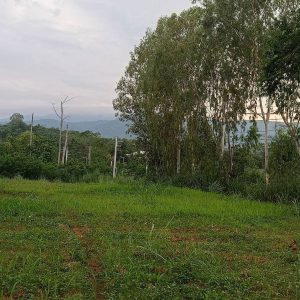 出售地皮-泰国-呵叻-31212-平方米-75-01