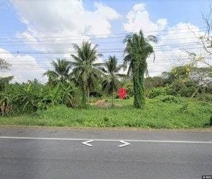 出售地皮-泰国-呵叻-31516-平方米-27.86-01