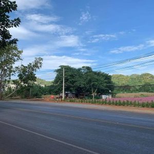 出售地皮-泰国-呵叻-31892-平方米-407.15-01