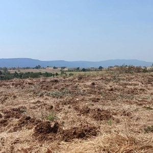 出售地皮-泰国-呵叻-3200-平方米-10.72-01