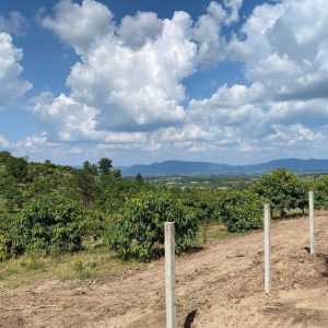 出售地皮-泰国-呵叻-3200-平方米-24.12-01