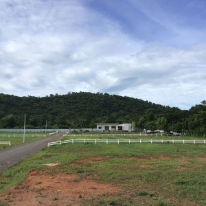 出售地皮-泰国-呵叻-3200-平方米-34.29-01