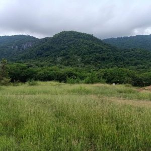 出售地皮-泰国-呵叻-3200-平方米-482.15-01