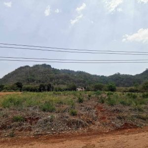 出售地皮-泰国-呵叻-3200-平方米-90-01