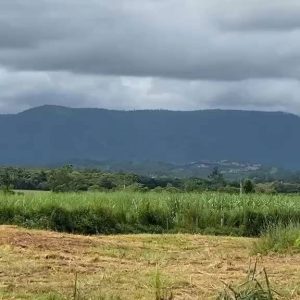 出售地皮-泰国-呵叻-32320-平方米-85.72-01