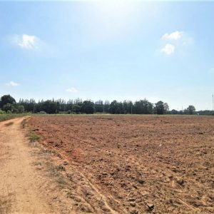 出售地皮-泰国-呵叻-32612-平方米-105-01