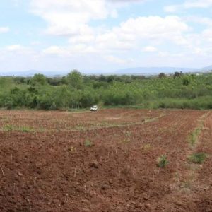 出售地皮-泰国-呵叻-34412-平方米-34.89-01