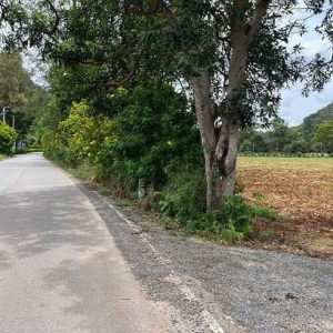 出售地皮-泰国-呵叻-34532-平方米-267.86-01