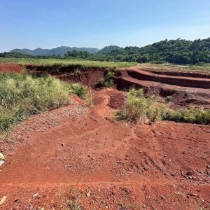 出售地皮-泰国-呵叻-37464-平方米-21.43-01