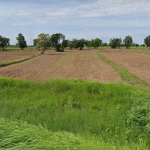 出售地皮-泰国-呵叻-37616-平方米-7.52-01