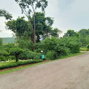 出售地皮-泰国-呵叻-3780-平方米-127-01