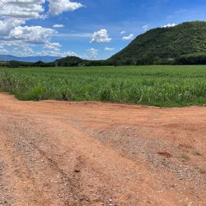 出售地皮-泰国-呵叻-38400-平方米-53.89-01