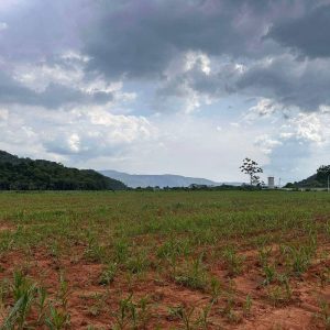 出售地皮-泰国-呵叻-3948-平方米-51.43-01