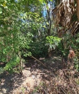 出售地皮-泰国-呵叻-400-平方米-68.58-01