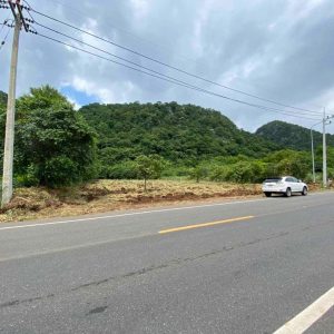 出售地皮-泰国-呵叻-4000-平方米-300-01