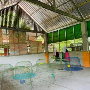 出售地皮-泰国-呵叻-4188-平方米-39.32-01