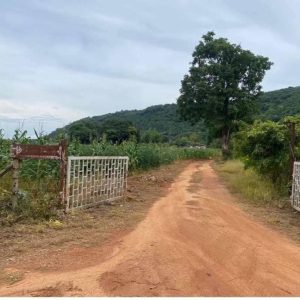 出售地皮-泰国-呵叻-44232-平方米-34.29-01