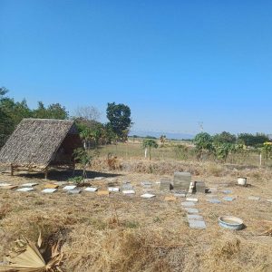 出售地皮-泰国-呵叻-4772-平方米-32.35-01