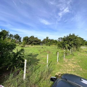 出售地皮-泰国-呵叻-4800-平方米-21.43-01