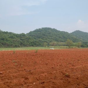 出售地皮-泰国-呵叻-4800-平方米-28.58-01