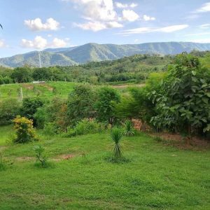 出售地皮-泰国-呵叻-5164-平方米-257.15-01