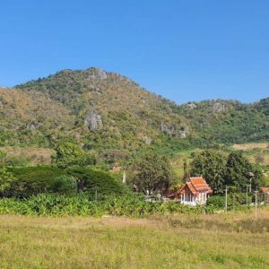 出售地皮-泰国-呵叻-5200-平方米-53.35-01