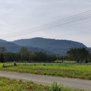 出售地皮-泰国-呵叻-568-平方米-180-01