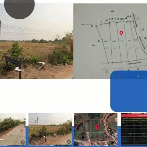 出售地皮-泰国-呵叻-6300-平方米-2.09-01