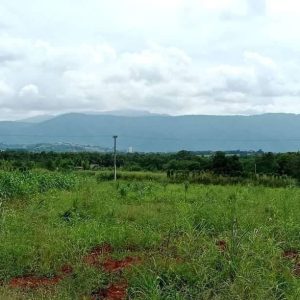 出售地皮-泰国-呵叻-6400-平方米-96.43-01