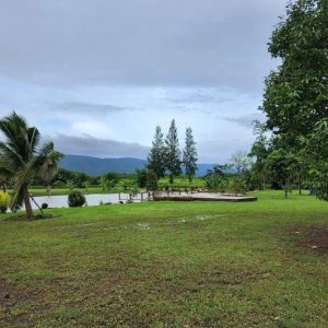 出售地皮-泰国-呵叻-65600-平方米-0-01