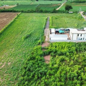 出售地皮-泰国-呵叻-6824-平方米-111.43-01