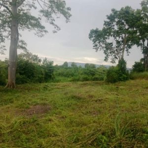 出售地皮-泰国-呵叻-70400-平方米-4.29-01