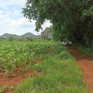 出售地皮-泰国-呵叻-7248-平方米-85.75-01