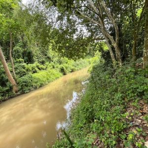 出售地皮-泰国-呵叻-73772-平方米-267.86-01