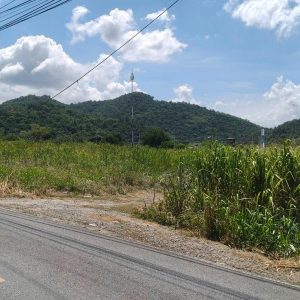 出售地皮-泰国-呵叻-7396-平方米-203.58-01