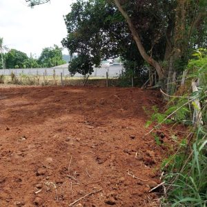 出售地皮-泰国-呵叻-800-平方米-90-01