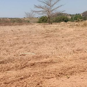 出售地皮-泰国-呵叻-8000-平方米-12.86-01