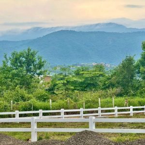 出售地皮-泰国-呵叻-8000-平方米-18-01