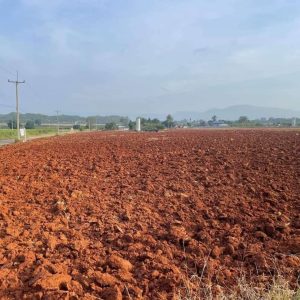 出售地皮-泰国-呵叻-8000-平方米-42.86-01