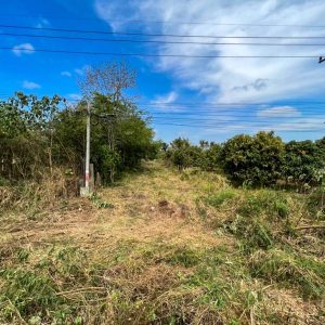 出售地皮-泰国-呵叻-80000-平方米-32.15-01